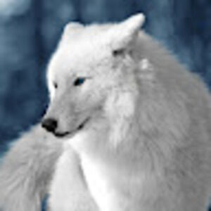 Meet your Posher, Laine